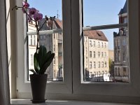 Apartament Kolegiacki - Pokoje --pl 4