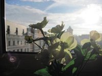Apartament Tesla Rynek - Kwatery --pl 2
