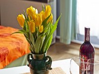 Apartament Pomarańcz - Kraków - Kazimierz